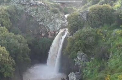 הזרימות האדירות שגורמות לעליה במפלס הכנרת. צפו