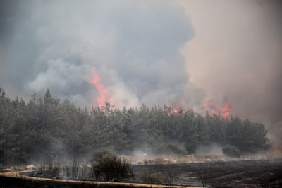 רגיעה בשריפות: 15 מבנים נפגעו, 7 פצועים