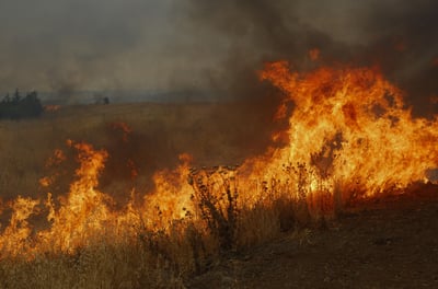 לא רק בדרום: חיזבאללה החלו בטרור הצתות בצפון