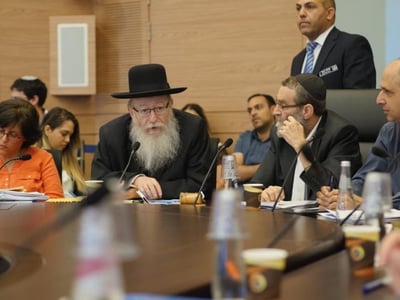 יו"ר הוועדה משה גפני וסגן שר הבריאות ליצמן (קרדיט