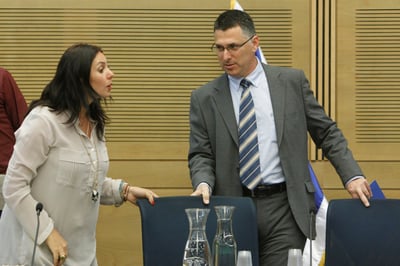 רגב נגד סער: "הדחה של ראש ממשלה מכהן"