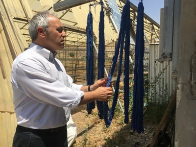 המהפכה החינוכית של עמותת פתיל תכלת