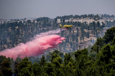 שלושה נעצרו בחשד להצתת השריפה בעין כרם