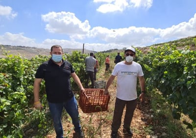 "הקורונה נקודתית, הריבונות לדורי דורות"