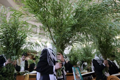 הדרך של עיריית ירושלים למכירת ערבות בזמן קורונה