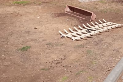 טרגדיה: בת 23 נשענה על סורגים וצנחה אל מותה