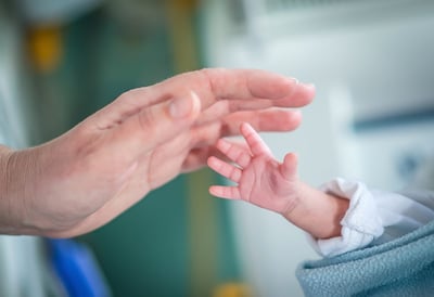 גוזל שנפל מן הקן: להביא פג לעולם | טור אישי
