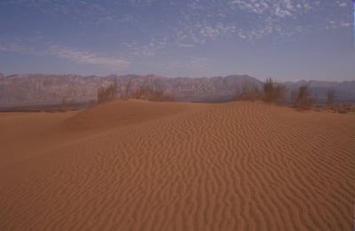 למנוע טרגדיה: אזהרה בעקבות גל החום כבד