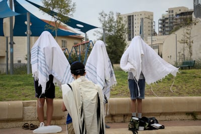 האשמת הגרעינים התורניים בלתי מבוססת | תגובה