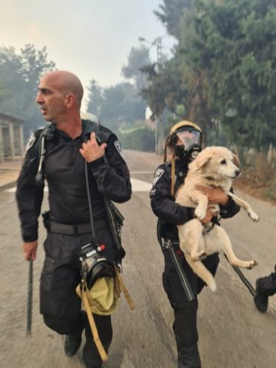 (צילומים: דוברות המשטרה)