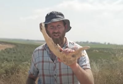 לא תאמינו, אבל זה היה הנשק הכי קטלני בתנ"ך