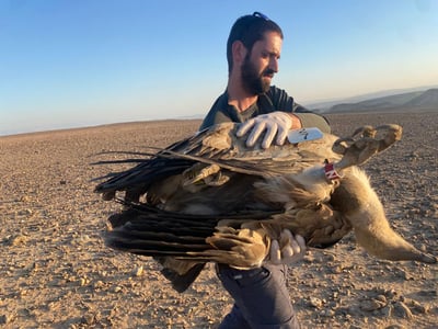 "לא יכולים להרשות לעצמנו לאבד את המין החשוב הזה"