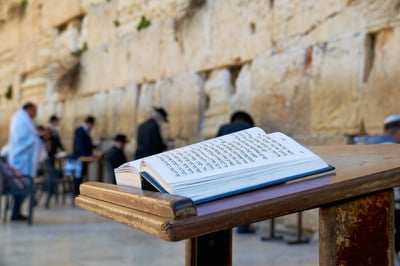 הספר הזה יגרום לכם לחשוב על היהדות שלכם
