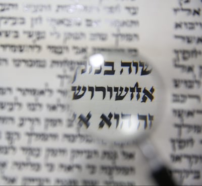 התרופות לכל חלקי הנפש נמצאות במגילת אסתר