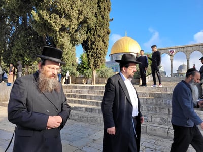צפו: הר הבית נפתח מחדש לעליית יהודים
