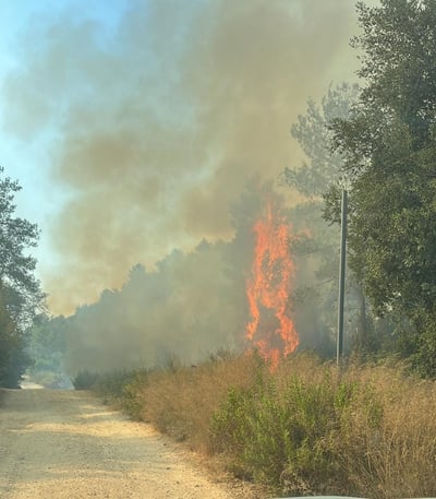 שריפה פרצה ליד בית מאיר, עשרות צוותי כיבוי במקום