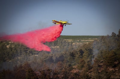 שריפה פרצה בהרי ירושלים, נערכים לפינוי תושבים