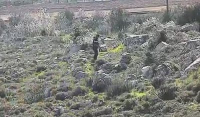 זה הזמן לפעול נגד הפלישה הפלסטינית