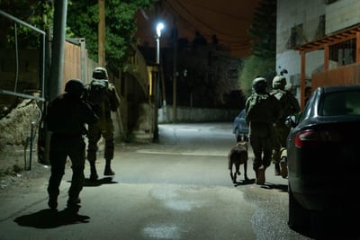 הכוחות בפעילות