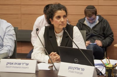 יועמ״שית הכנסת מגיבה: ״הממשלה יכולה להתנהל כרגיל״