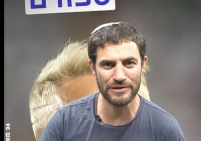 אצילי חותם, גפן מחלקת ירושה: קצר בתקשורת #17