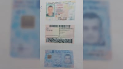 המשטרה חוקרת: תושבי יפו זייפו רישיונות נהיגה