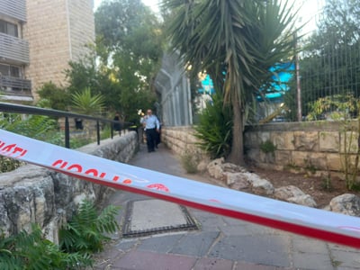 הפיגוע בגילה: התפללו, קנו סכין וחיפשו קורבן יהודי