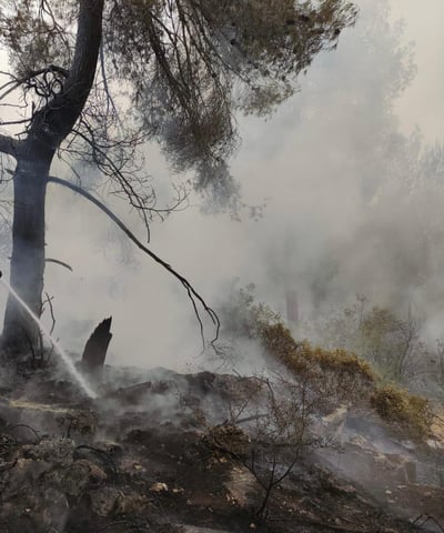 שריפה משתוללת בהרי ירושלים בסמוך לכביש 1