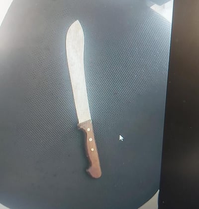 פלסטיני מעזה נעצר ברכבת עם סכין קצבים