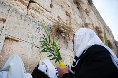 סוכות בכותל: השנה יהיו שני מעמדים של ברכת כהנים