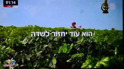 בגלל המלחמה: שטראוס חזרה לפרסם בערוץ 14