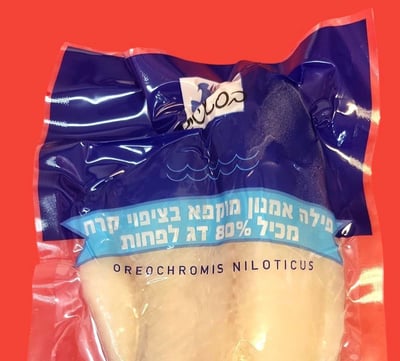 חברת הדגים קוראת לאסוף את הדג האהוב