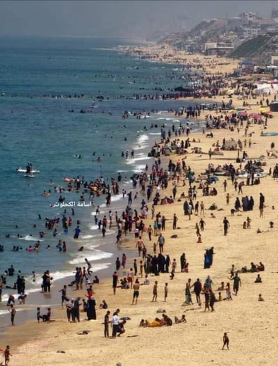 עיתונאית הארץ על סרטון העזתים: "אותי זה משמח"