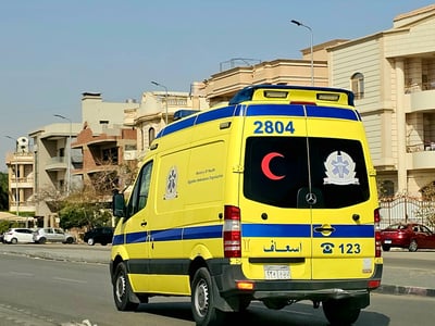 3 ישראלים נהרגו בתאונת דרכים בסיני, 2 ילדים נפצעו