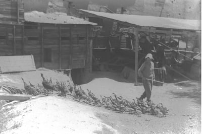 היום בהיסטוריה: הקרב על שלושת התילים שקבע את הגבול המזרחי