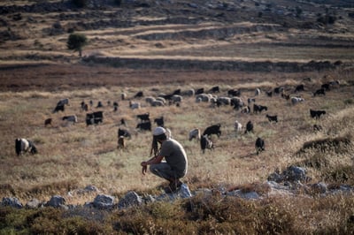 נתניהו וזיני יזמו מהלך נגד קטין ביו"ש: בחוננו תקפו את בלוט