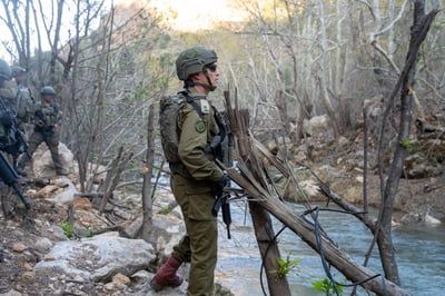 האלוף גורדין בליטני