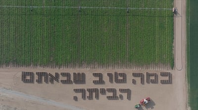 מרגש: חקלאים ממשקי הנגב במחווה לחזרתם של החטופים לישראל