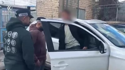 מחריד: השליך גור חתולים מהמרפסת ותיעד את המעשה