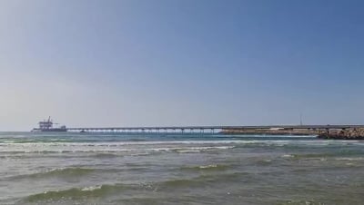 סוף עצוב: הממצאים אישרו כי הצוללן נטרף למוות בידי כריש
