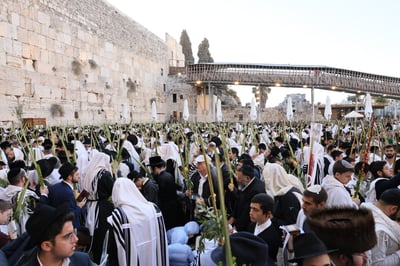 חוה"מ סוכות בכותל: אלו מועדי ברכת הכהנים והסדרי התנועה