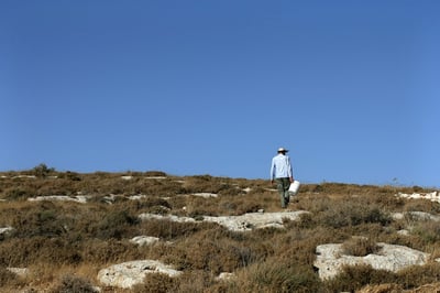ממשלת ימין? 2 נערי גבעות נעצרו במאחז בבנימין