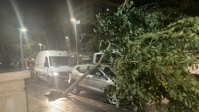 נזקי מזג האוויר: בת 47 נפגעה מחפץ שעף ברוח, מבנה קרס בנהריה