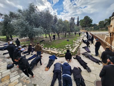 יהודים בהר הבית