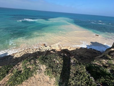 המצוק בחוף סידני עלי