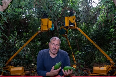 עופר מוסקוביץ הי"ד