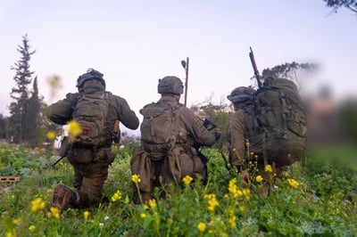 הכוחות בדרום לבנון