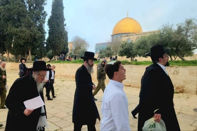יהודים בהר הבית הבוקר