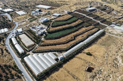 השתלטות פלסטינים
