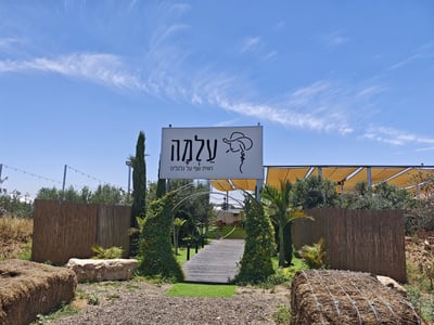 עגלת קפה